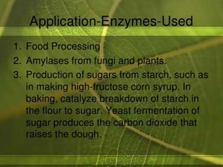 Applications of enzymes in food industry | PPTX