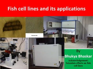 Fish cell lines and its applications
By
Bhukya Bhaskar
Acknowledgement:
Scientists efforts on fish
cell lines
 
