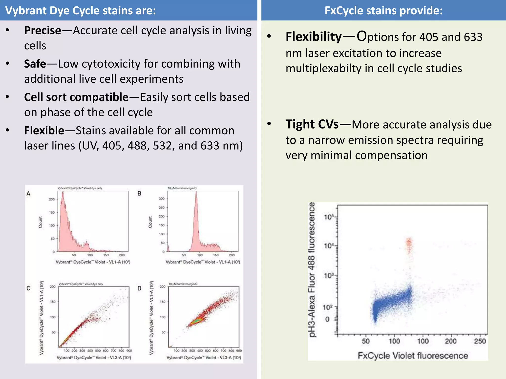 • Precise—Accurate cell cycle analysis in living
cells
• Safe—Low cytotoxicity for combining with
additional live cell experiments
• Cell sort compatible—Easily sort cells based
on phase of the cell cycle
• Flexible—Stains available for all common
laser lines (UV, 405, 488, 532, and 633 nm)
• Flexibility—Options for 405 and 633
nm laser excitation to increase
multiplexabilty in cell cycle studies
• Tight CVs—More accurate analysis due
to a narrow emission spectra requiring
very minimal compensation
Vybrant Dye Cycle stains are: FxCycle stains provide:
 