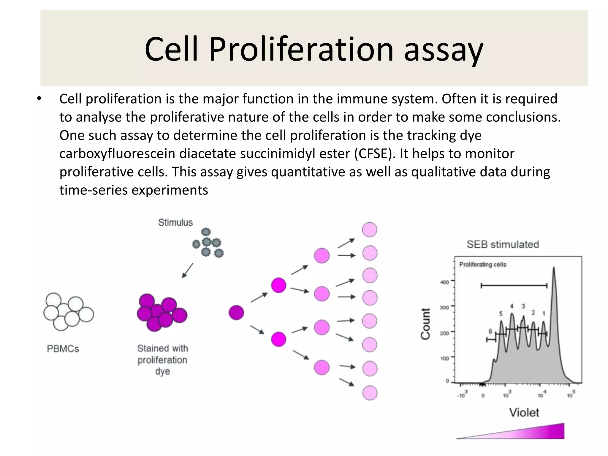 Cell Proliferation assay
• Cell proliferation is the major function in the immune system. Often it is required
to analyse the proliferative nature of the cells in order to make some conclusions.
One such assay to determine the cell proliferation is the tracking dye
carboxyfluorescein diacetate succinimidyl ester (CFSE). It helps to monitor
proliferative cells. This assay gives quantitative as well as qualitative data during
time-series experiments
 