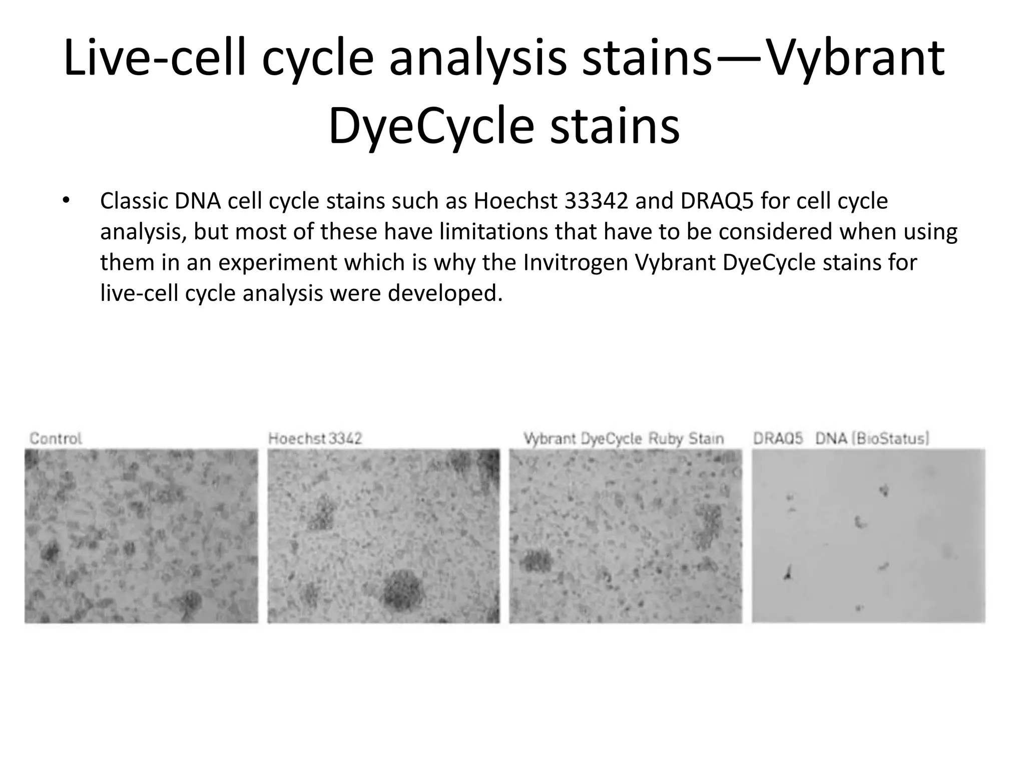 Live-cell cycle analysis stains—Vybrant
DyeCycle stains
• Classic DNA cell cycle stains such as Hoechst 33342 and DRAQ5 for cell cycle
analysis, but most of these have limitations that have to be considered when using
them in an experiment which is why the Invitrogen Vybrant DyeCycle stains for
live-cell cycle analysis were developed.
 