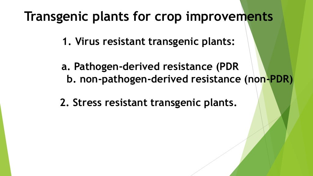 Applications of engineering techniques in agriculture