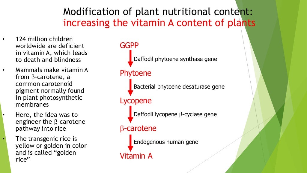 Applications of engineering techniques in agriculture