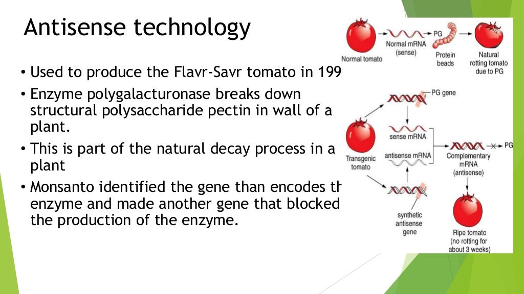 Applications of engineering techniques in agriculture
