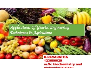 Applications Of Genetic Engineering
Techniques In Agriculture
B.DEVADATHA
123680029
m.Sc biochemistry and
 
