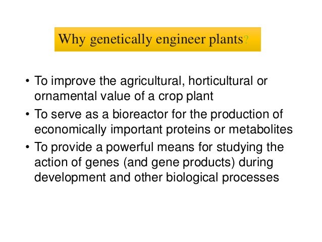 the applications and techniques involve in genetic engineering The new gene is inserted into some of the cells using various techniques some of the more common methods include the gene the process of plant genetic engineering. the applications and techniques involve in genetic engineering The new gene is inserted into some of the cells using various techniques some of the more common methods include the gene the process of plant genetic engineering.