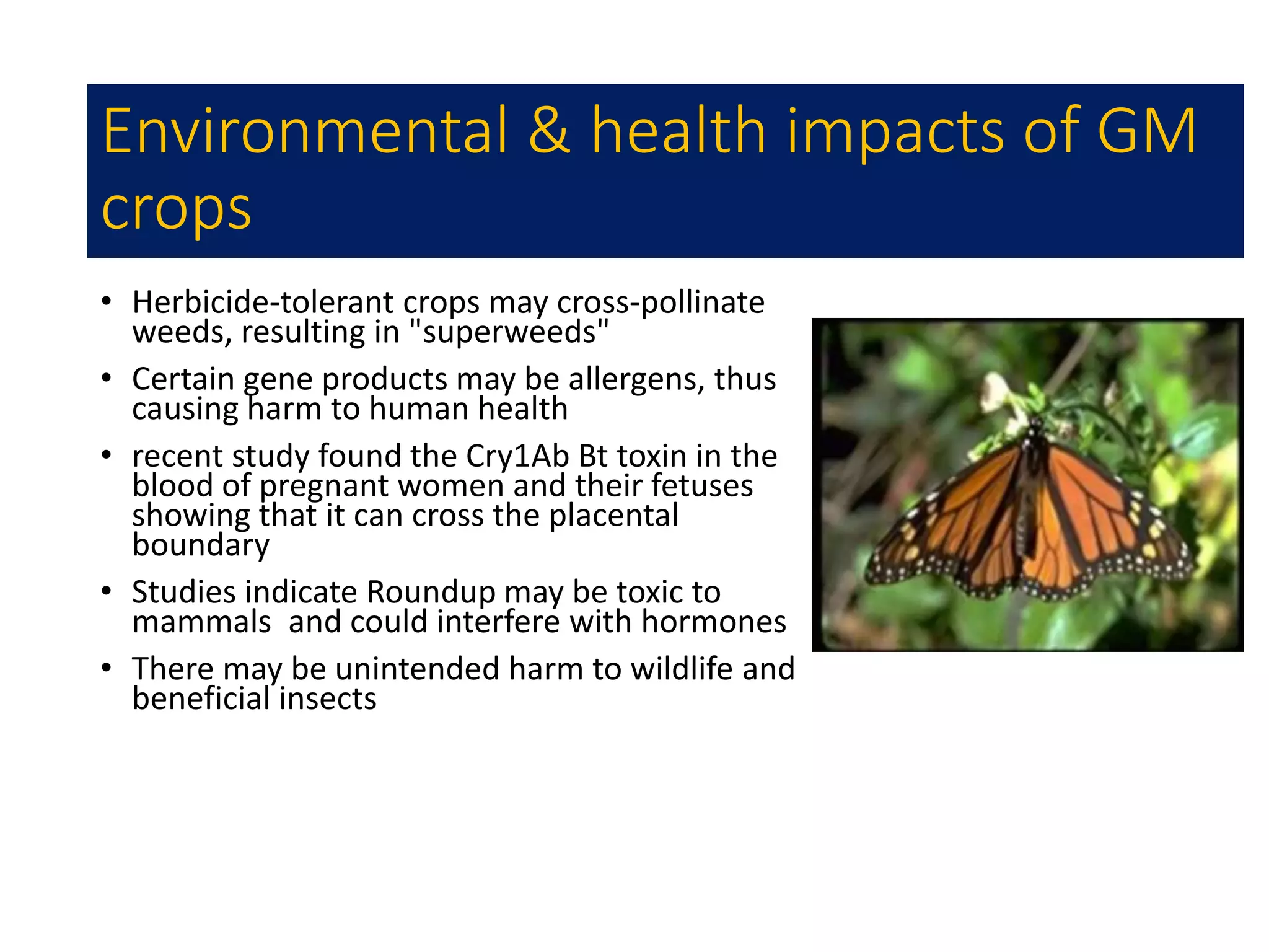 Environmental & health impacts of GM
crops
• Herbicide-tolerant crops may cross-pollinate
weeds, resulting in "superweeds"
• Certain gene products may be allergens, thus
causing harm to human health
• recent study found the Cry1Ab Bt toxin in the
blood of pregnant women and their fetuses
showing that it can cross the placental
boundary
• Studies indicate Roundup may be toxic to
mammals and could interfere with hormones
• There may be unintended harm to wildlife and
beneficial insects
 