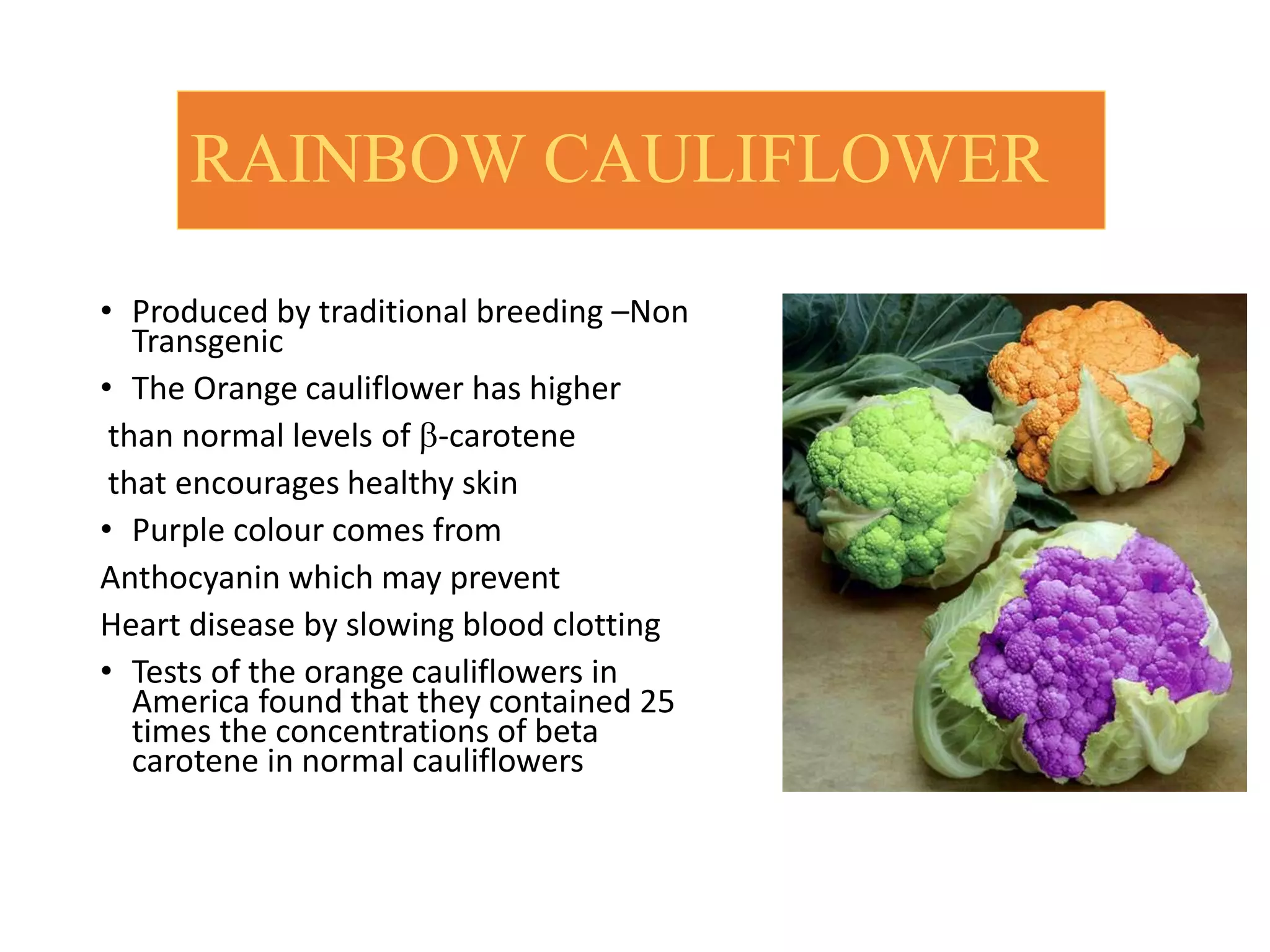 RAINBOW CAULIFLOWER
• Produced by traditional breeding –Non
Transgenic
• The Orange cauliflower has higher
than normal levels of b-carotene
that encourages healthy skin
• Purple colour comes from
Anthocyanin which may prevent
Heart disease by slowing blood clotting
• Tests of the orange cauliflowers in
America found that they contained 25
times the concentrations of beta
carotene in normal cauliflowers
 