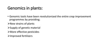 Genomics in plants:
• Genomic tools have been revolutionized the entire crop improvement
programmes by providing;
New strains of plants
Supply of genetic material
More effective pesticides
Improved fertilizers
 