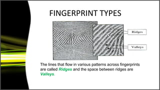 FINGERPRINT TYPES




The lines that flow in various patterns across fingerprints
are called Ridges and the space between ridges are
Valleys.
 