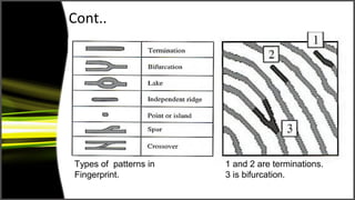 Cont..




Types of patterns in   1 and 2 are terminations.
Fingerprint.           3 is bifurcation.
 