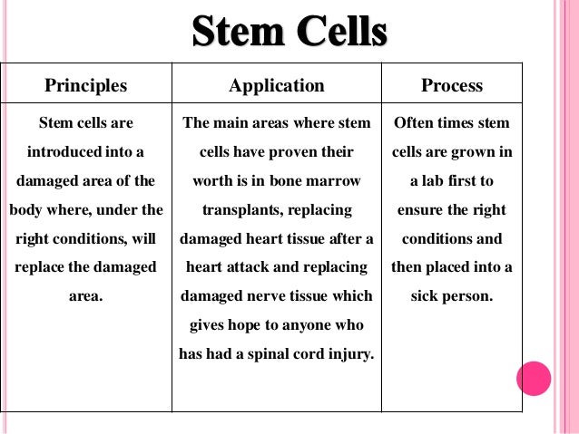 applications of medical biotechnology medical biotechnology