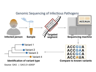 Applications of Molecular Biology for infectious diseases.pptx