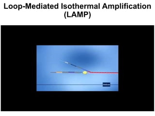 Applications of Molecular Biology for infectious diseases.pptx