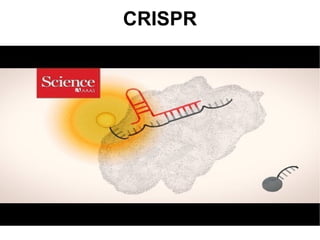 Applications of Molecular Biology for infectious diseases.pptx