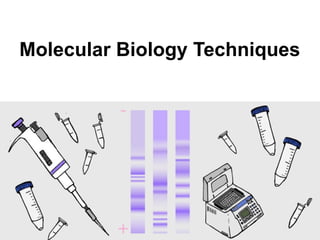Applications of Molecular Biology for infectious diseases.pptx