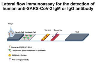 Applications of Molecular Biology for infectious diseases.pptx