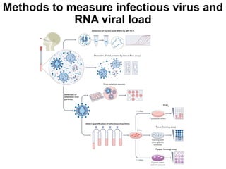 Applications of Molecular Biology for infectious diseases.pptx