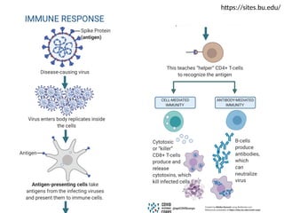 Applications of Molecular Biology for infectious diseases.pptx