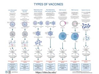 Applications of Molecular Biology for infectious diseases.pptx