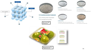 Applications of nanotechnology in food packaging | PPTX