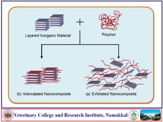 Applications of nanotechnology in food packaging and food safety | PDF