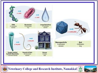 Applications of nanotechnology in food packaging and food safety | PDF