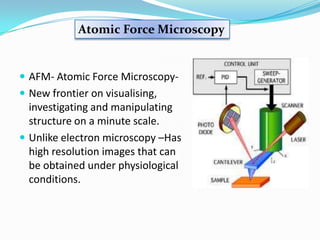 Atomic Force Microscopy


 AFM- Atomic Force Microscopy-
 New frontier on visualising,
  investigating and manipulating
  structure on a minute scale.
 Unlike electron microscopy –Has
  high resolution images that can
  be obtained under physiological
  conditions.
 