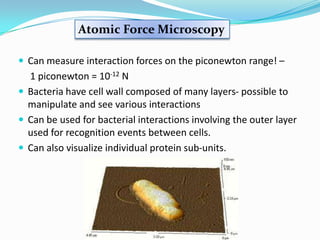 Atomic Force Microscopy

 Can measure interaction forces on the piconewton range! –
  1 piconewton = 10-12 N
 Bacteria have cell wall composed of many layers- possible to
  manipulate and see various interactions
 Can be used for bacterial interactions involving the outer layer
  used for recognition events between cells.
 Can also visualize individual protein sub-units.
 