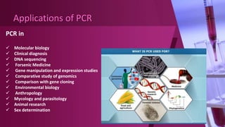 Applications of pcr | PPTX
