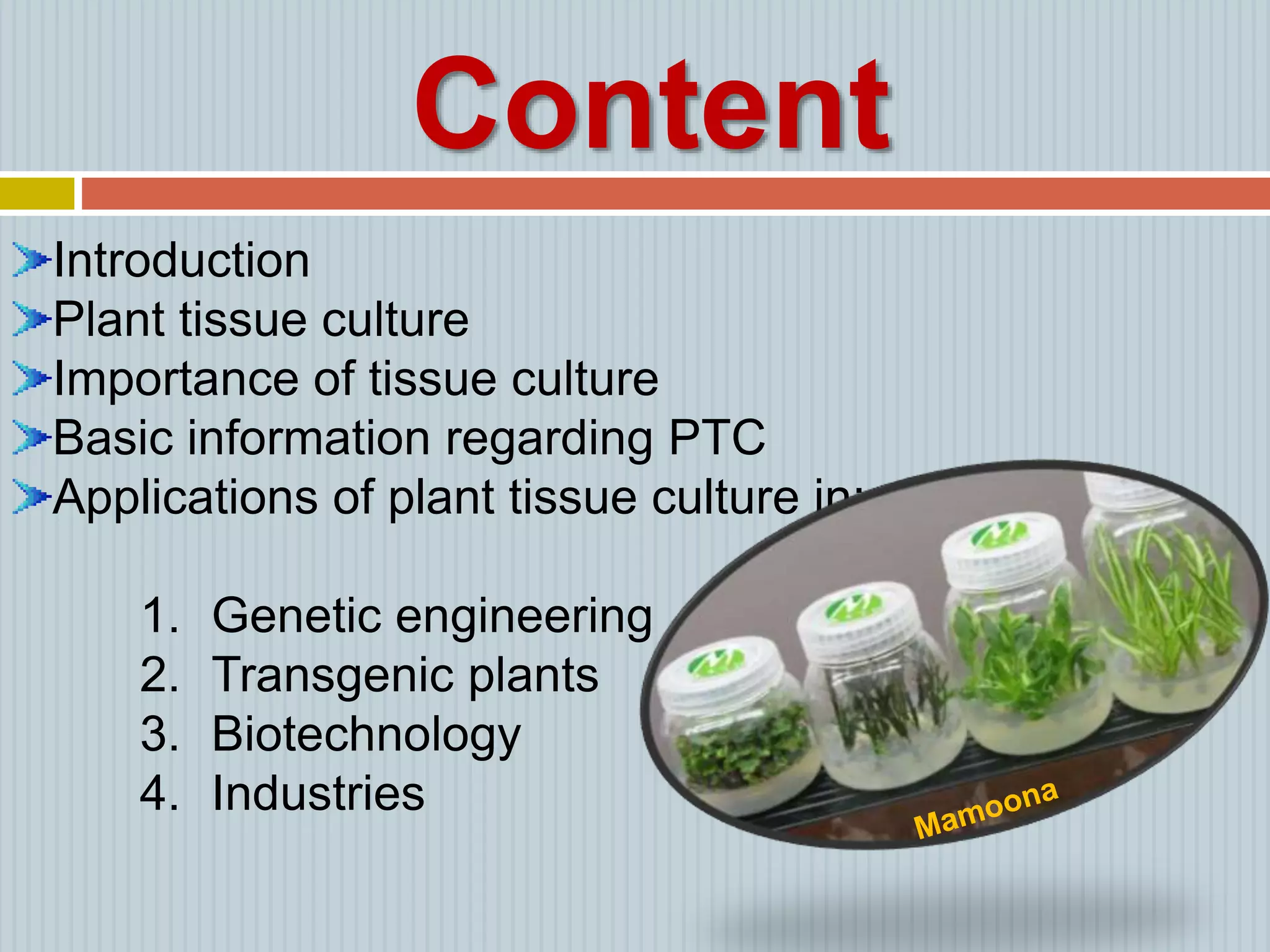 Applications of Plant Tissue Culture || Presented by Mamoona Ghaffar | PPTX