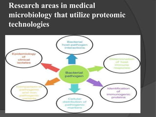 Applications of proteomics in microbiology | PPTX | Biotech and ...