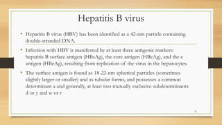 Hepatitis B virus
• Hepatitis B virus (HBV) has been identified as a 42-nm particle containing
double-stranded DNA.
• Infection with HBV is manifested by at least three antigenic markers:
hepatitis B surface antigen (HBsAg), the core antigen (HBcAg), and the e
antigen (HBeAg), resulting from replication of the virus in the hepatocytes.
• The surface antigen is found as 18-22-nm spherical particles (sometimes
slightly larger or smaller) and as tubular forms, and possesses a common
determinant a and generally, at least two mutually exclusive subdeterminants
d or y and w or r
21
 