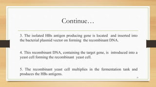 Continue…
3. The isolated HBs antigen producing gene is located and inserted into
the bacterial plasmid vector on forming the recombinant DNA.
4. This recombinant DNA, containing the target gene, is introduced into a
yeast cell forming the recombinant yeast cell.
5. The recombinant yeast cell multiplies in the fermentation tank and
produces the HBs antigens.
29
 