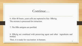 Continue…
6. After 48 hours, yeast cells are ruptured to free HBsAg.
The mixture is processed for extraction.
7. The HBs antigens are purified.
8. HBsAg are combined with preserving agent and other ingredients and
bottled.
Then, it is ready for vaccination in humans. 30
 