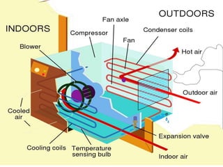 Applications of rac | PPTX
