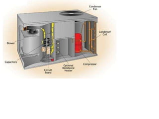 Applications of rac | PPTX
