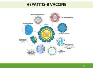HEPATITIS-B VACCINE
13
 