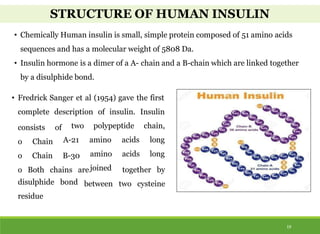 STRUCTURE OF HUMAN INSULIN
• Chemically Human insulin is small, simple protein composed of 51 amino acids
sequences and has a molecular weight of 5808 Da.
• Insulin hormone is a dimer of a A- chain and a B-chain which are linked together
by a disulphide bond.
• Fredrick Sanger et al (1954) gave the first
complete description of insulin. Insulin
consists of two polypeptide
A-21
B-30
acids
acids
chain,
long
long
o Chain
o Chain
o Both chains are
amino
amino
joined together by
between two cysteine
disulphide bond
residue
19
 