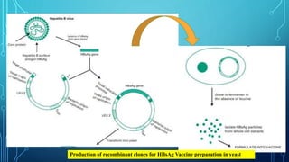 Applications of Genetic Engineering in the Development of ...