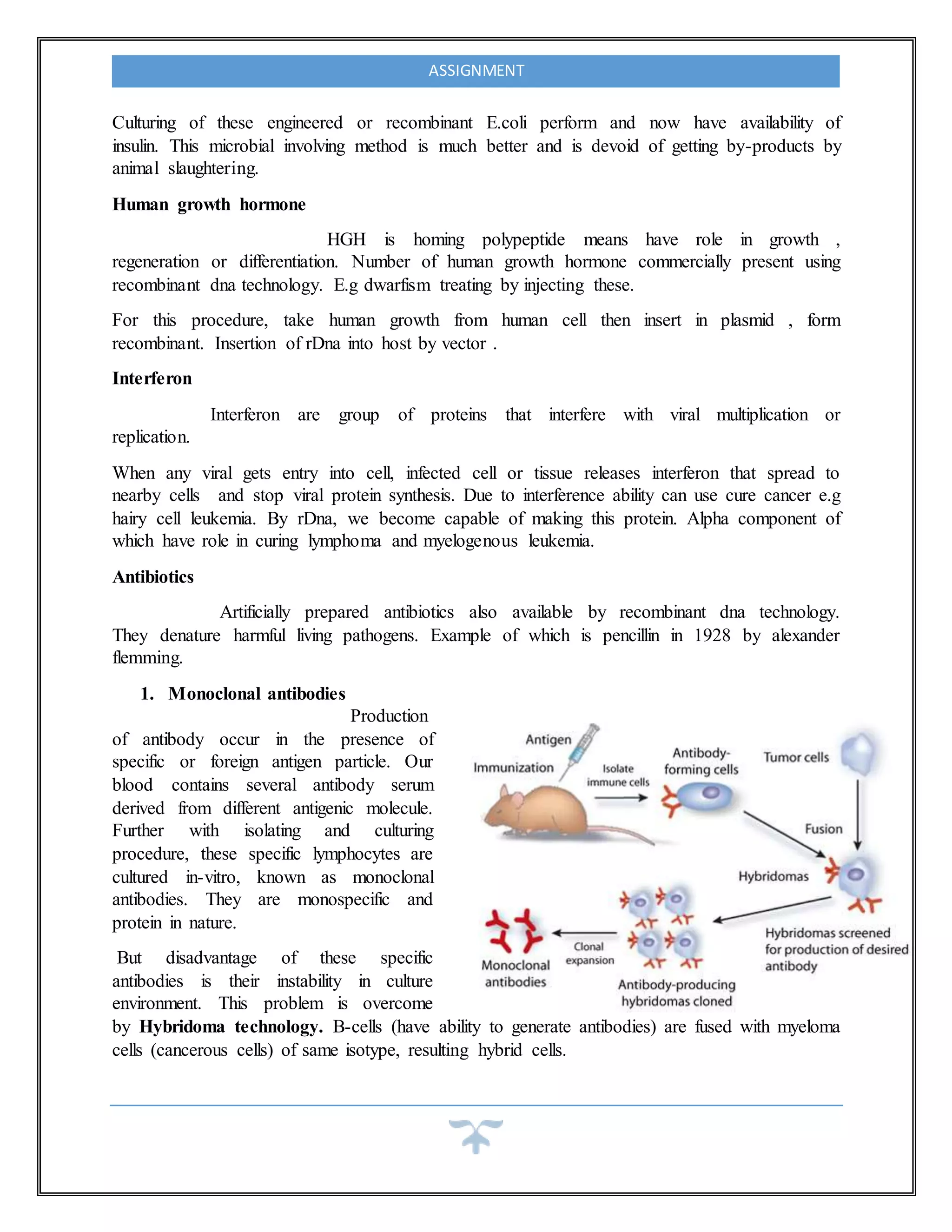 ASSIGNMENT
Culturing of these engineered or recombinant E.coli perform and now have availability of
insulin. This microbial involving method is much better and is devoid of getting by-products by
animal slaughtering.
Human growth hormone
HGH is homing polypeptide means have role in growth ,
regeneration or differentiation. Number of human growth hormone commercially present using
recombinant dna technology. E.g dwarfism treating by injecting these.
For this procedure, take human growth from human cell then insert in plasmid , form
recombinant. Insertion of rDna into host by vector .
Interferon
Interferon are group of proteins that interfere with viral multiplication or
replication.
When any viral gets entry into cell, infected cell or tissue releases interferon that spread to
nearby cells and stop viral protein synthesis. Due to interference ability can use cure cancer e.g
hairy cell leukemia. By rDna, we become capable of making this protein. Alpha component of
which have role in curing lymphoma and myelogenous leukemia.
Antibiotics
Artificially prepared antibiotics also available by recombinant dna technology.
They denature harmful living pathogens. Example of which is pencillin in 1928 by alexander
flemming.
1. Monoclonal antibodies
Production
of antibody occur in the presence of
specific or foreign antigen particle. Our
blood contains several antibody serum
derived from different antigenic molecule.
Further with isolating and culturing
procedure, these specific lymphocytes are
cultured in-vitro, known as monoclonal
antibodies. They are monospecific and
protein in nature.
But disadvantage of these specific
antibodies is their instability in culture
environment. This problem is overcome
by Hybridoma technology. B-cells (have ability to generate antibodies) are fused with myeloma
cells (cancerous cells) of same isotype, resulting hybrid cells.
 