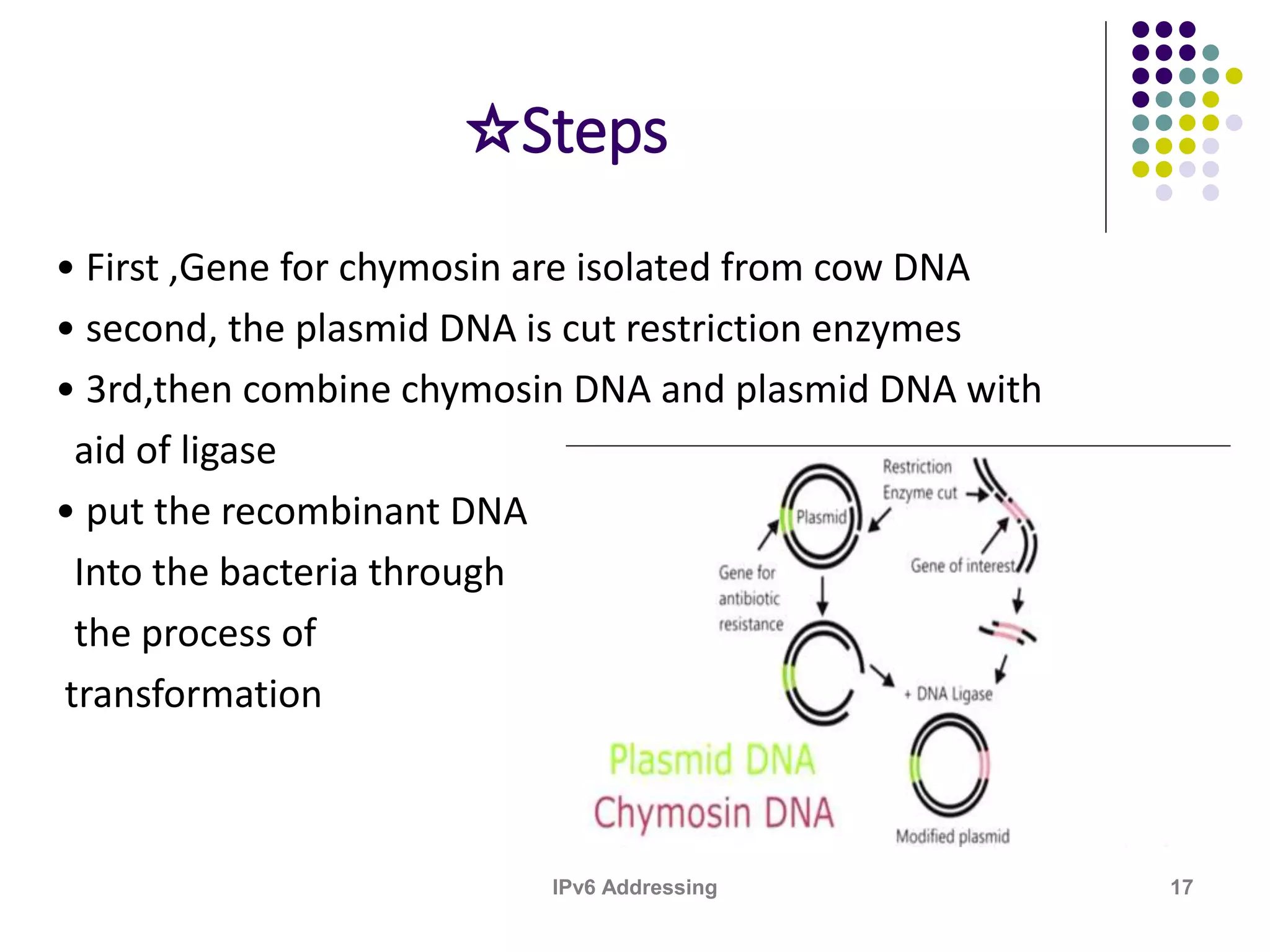 ☆Steps
• First ,Gene for chymosin are isolated from cow DNA
• second, the plasmid DNA is cut restriction enzymes
• 3rd,then combine chymosin DNA and plasmid DNA with
aid of ligase
• put the recombinant DNA
Into the bacteria through
the process of
transformation
17IPv6 Addressing
 