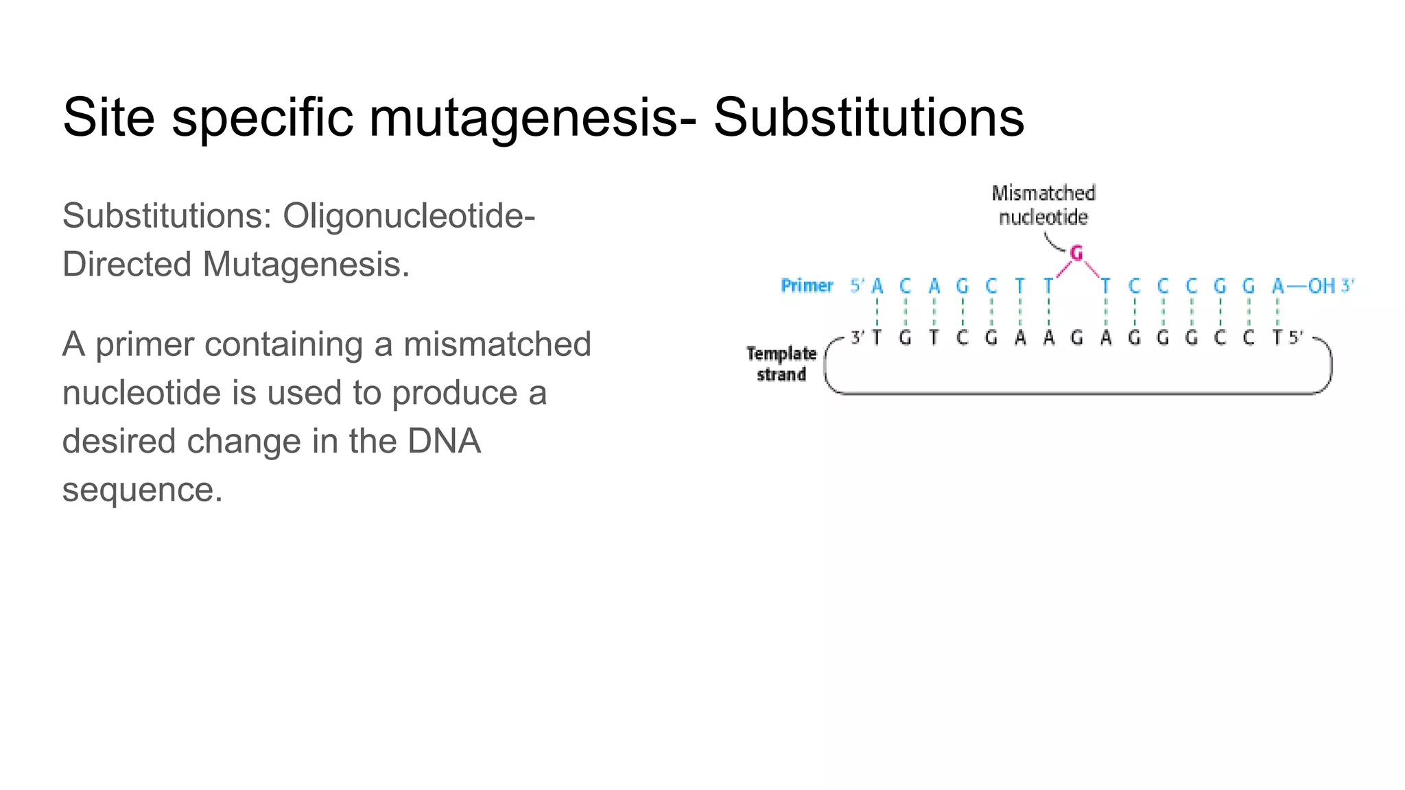 Site specific mutagenesis- Substitutions
Substitutions: Oligonucleotide-
Directed Mutagenesis.
A primer containing a mismatched
nucleotide is used to produce a
desired change in the DNA
sequence.
 