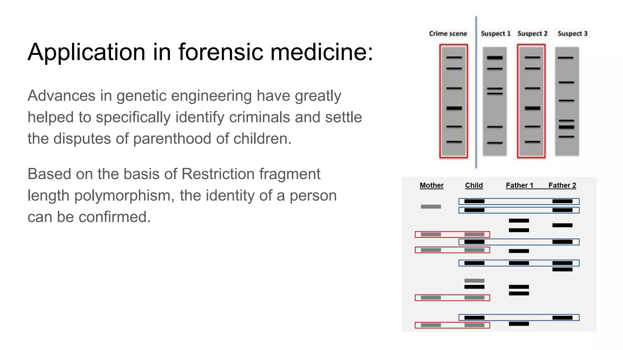 Application in forensic medicine:
Advances in genetic engineering have greatly
helped to specifically identify criminals and settle
the disputes of parenthood of children.
Based on the basis of Restriction fragment
length polymorphism, the identity of a person
can be confirmed.
 