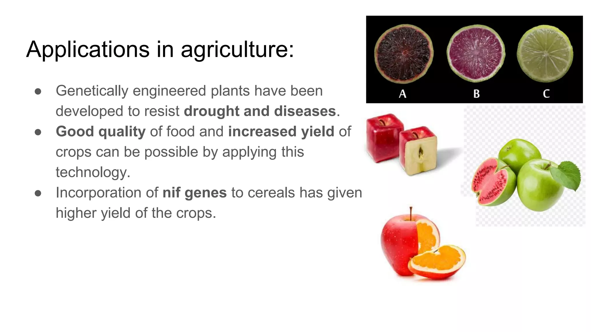 Applications in agriculture:
● Genetically engineered plants have been
developed to resist drought and diseases.
● Good quality of food and increased yield of
crops can be possible by applying this
technology.
● Incorporation of nif genes to cereals has given
higher yield of the crops.
 