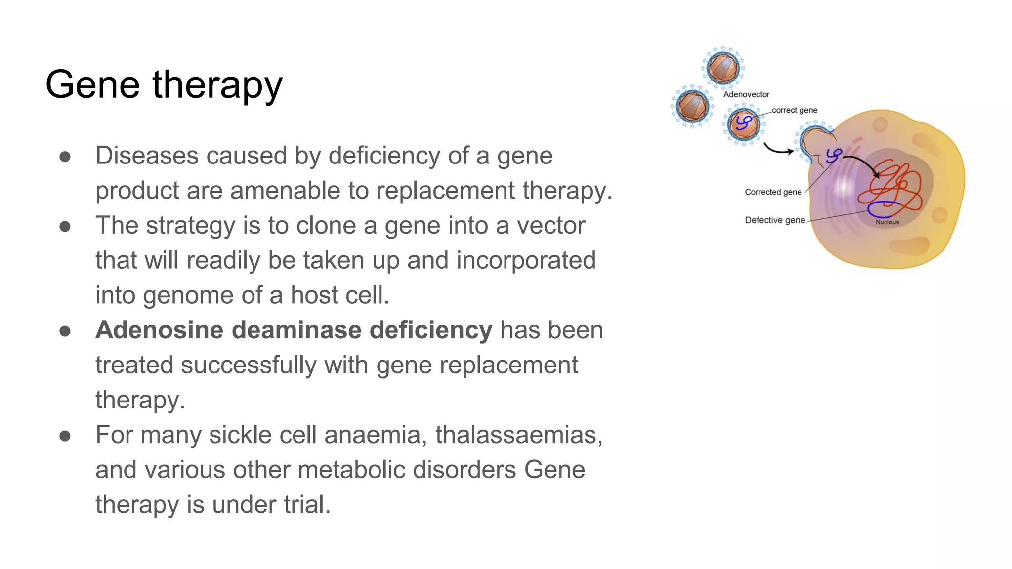 Gene therapy
● Diseases caused by deficiency of a gene
product are amenable to replacement therapy.
● The strategy is to clone a gene into a vector
that will readily be taken up and incorporated
into genome of a host cell.
● Adenosine deaminase deficiency has been
treated successfully with gene replacement
therapy.
● For many sickle cell anaemia, thalassaemias,
and various other metabolic disorders Gene
therapy is under trial.
 