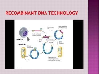 Applications of recombinant dna technology in pharmacy | PPTX