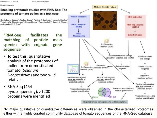 rna-seq for transcriptome analysis in non-model plants pdf