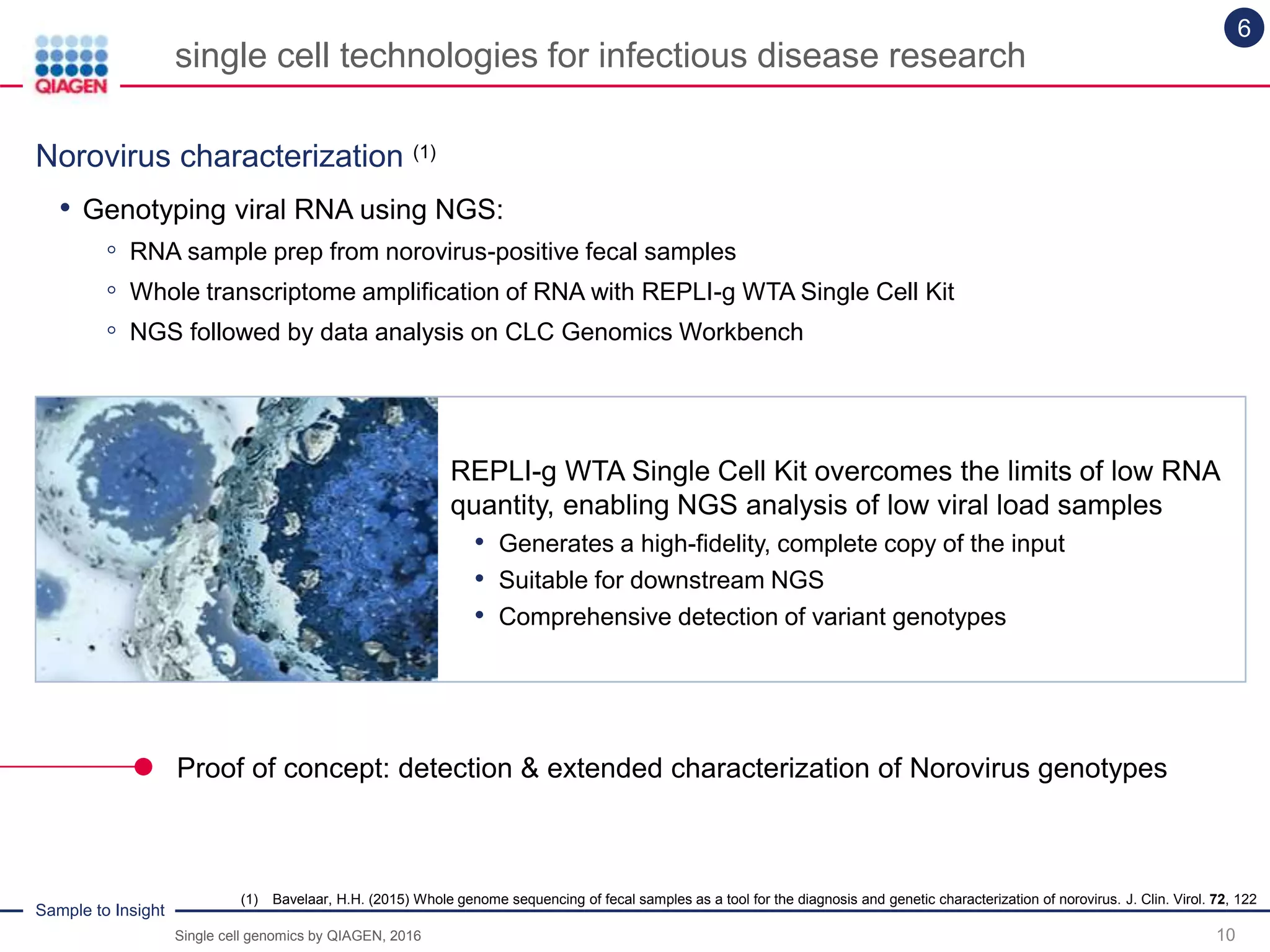 Sample to Insight
single cell technologies for infectious disease research
10
Norovirus characterization (1)
6
• Genotyping viral RNA using NGS:
◦ RNA sample prep from norovirus-positive fecal samples
◦ Whole transcriptome amplification of RNA with REPLI-g WTA Single Cell Kit
◦ NGS followed by data analysis on CLC Genomics Workbench
(1) Bavelaar, H.H. (2015) Whole genome sequencing of fecal samples as a tool for the diagnosis and genetic characterization of norovirus. J. Clin. Virol. 72, 122
Proof of concept: detection & extended characterization of Norovirus genotypes
REPLI-g WTA Single Cell Kit overcomes the limits of low RNA
quantity, enabling NGS analysis of low viral load samples
• Generates a high-fidelity, complete copy of the input
• Suitable for downstream NGS
• Comprehensive detection of variant genotypes
Single cell genomics by QIAGEN, 2016
 
