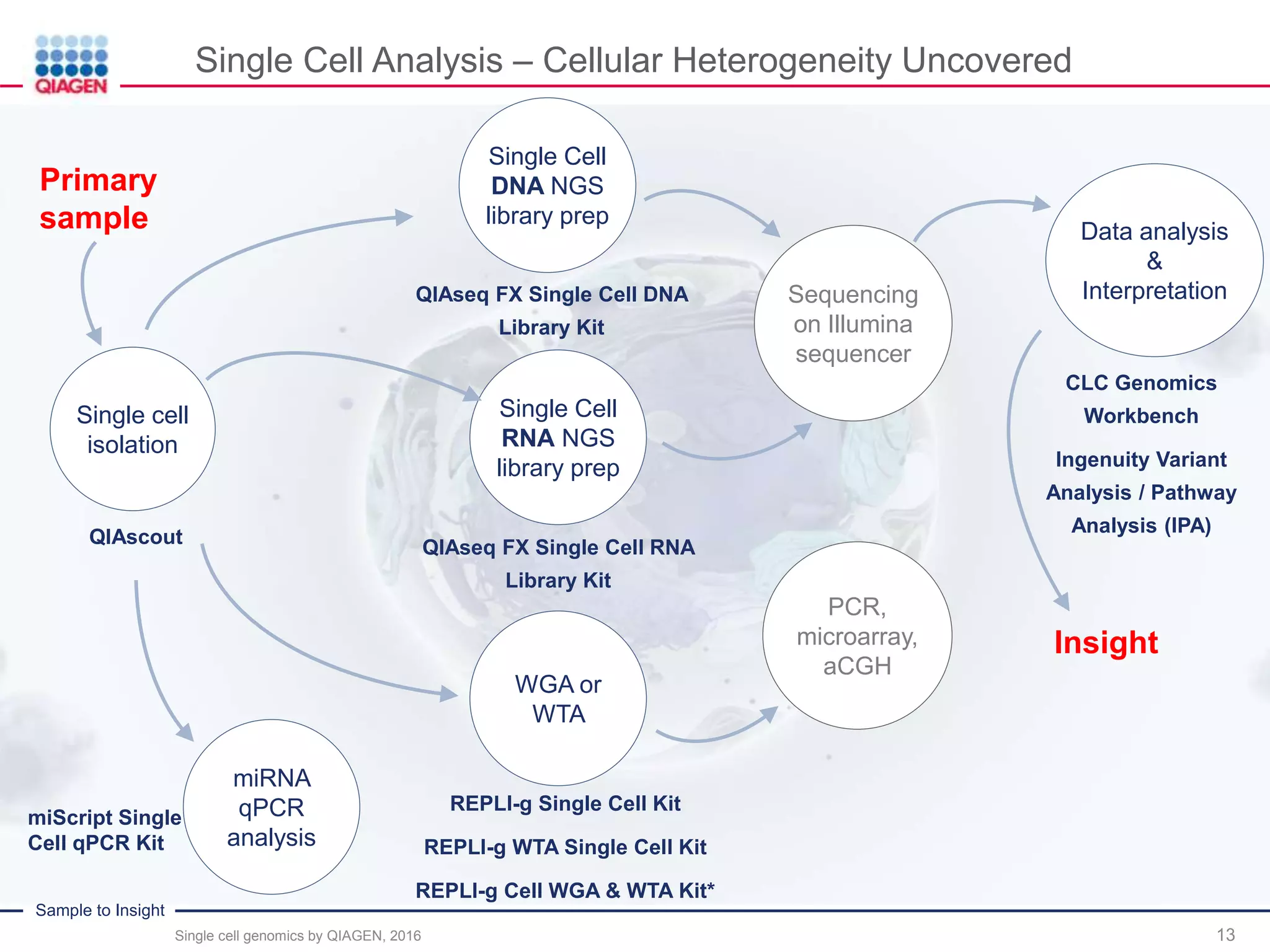 Sample to Insight
Single Cell Analysis – Cellular Heterogeneity Uncovered
13
Data analysis
&
Interpretation
Single cell
isolation
Single Cell
DNA NGS
library prep
Sequencing
on Illumina
sequencer
Insight
QIAseq FX Single Cell DNA
Library Kit
QIAscout
Single Cell
RNA NGS
library prep
QIAseq FX Single Cell RNA
Library Kit
Primary
sample
WGA or
WTA
REPLI-g Single Cell Kit
REPLI-g WTA Single Cell Kit
REPLI-g Cell WGA & WTA Kit*
PCR,
microarray,
aCGH
CLC Genomics
Workbench
Ingenuity Variant
Analysis / Pathway
Analysis (IPA)
miRNA
qPCR
analysis
miScript Single
Cell qPCR Kit
Single cell genomics by QIAGEN, 2016
 